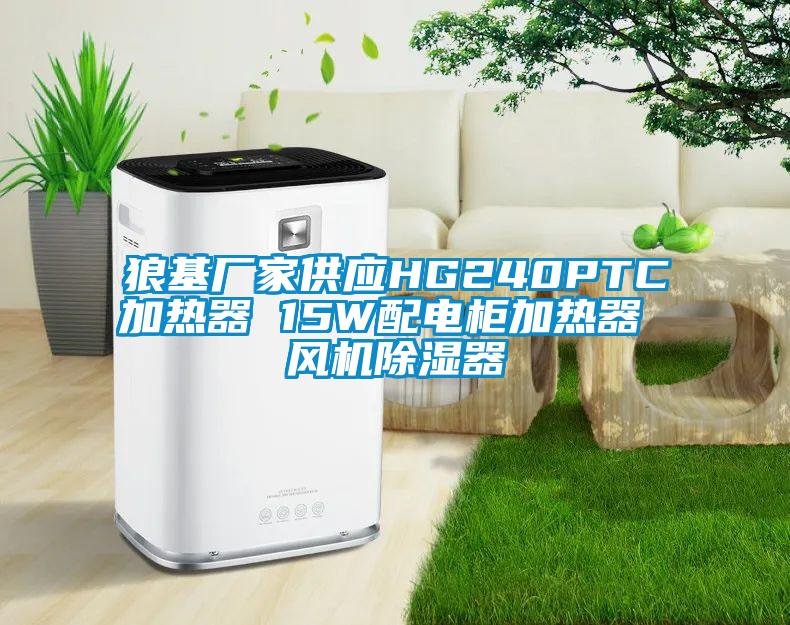 狼基廠家供應HG240PTC加熱器 15W配電柜加熱器 風機除濕器