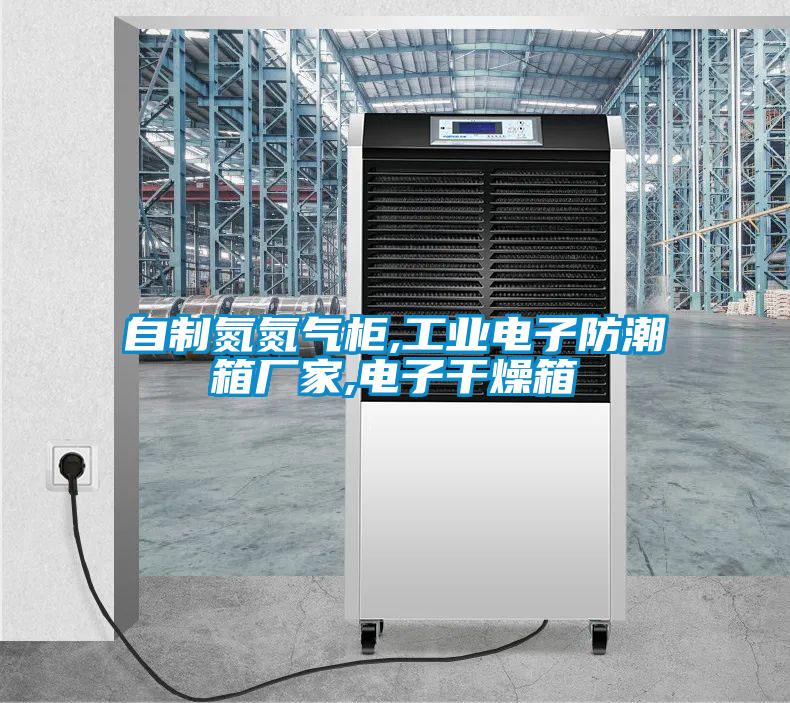 自制氮氮氣柜,工業電子防潮箱廠家,電子干燥箱