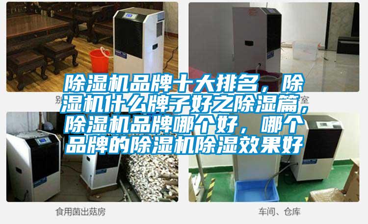 除濕機品牌十大排名，除濕機什么牌子好之除濕篇，除濕機品牌哪個好，哪個品牌的除濕機除濕效果好