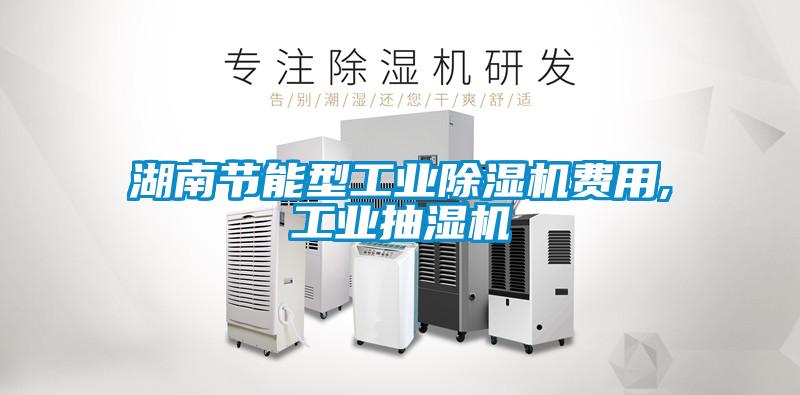 湖南節能型工業除濕機費用,工業抽濕機