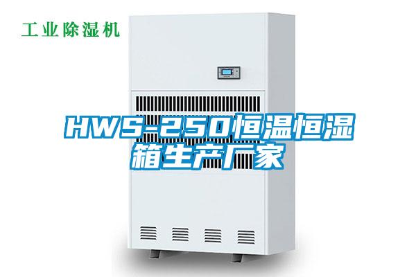 HWS-250恒溫恒濕箱生產廠家