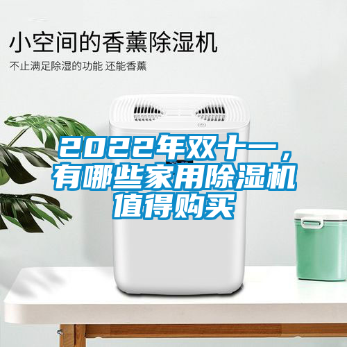 2022年雙十一，有哪些家用除濕機值得購買