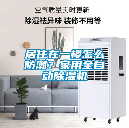 居住在一樓怎么防潮？家用全自動除濕機