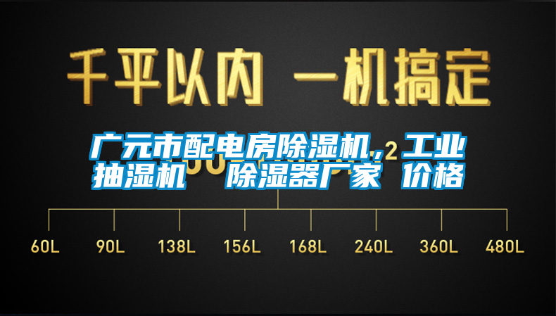 廣元市配電房除濕機，工業抽濕機  除濕器廠家 價格