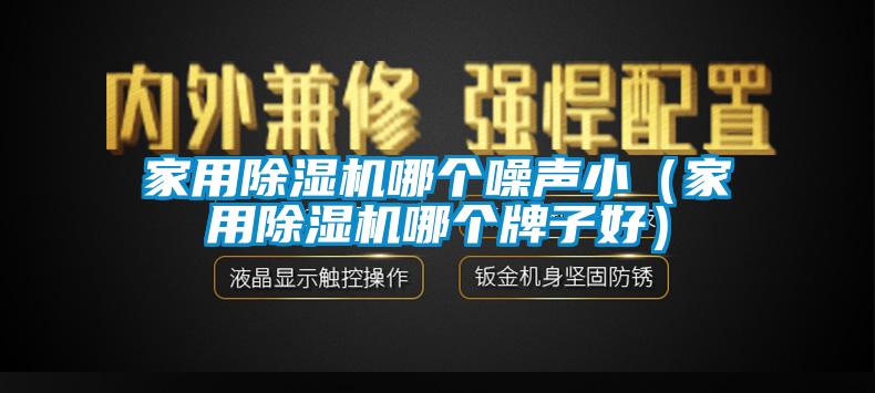 家用除濕機哪個噪聲?。矣贸凉駲C哪個牌子好）