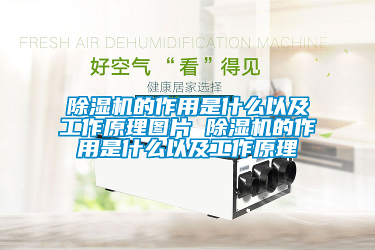 除濕機的作用是什么以及工作原理圖片 除濕機的作用是什么以及工作原理