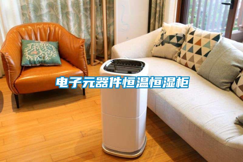 電子元器件恒溫恒濕柜