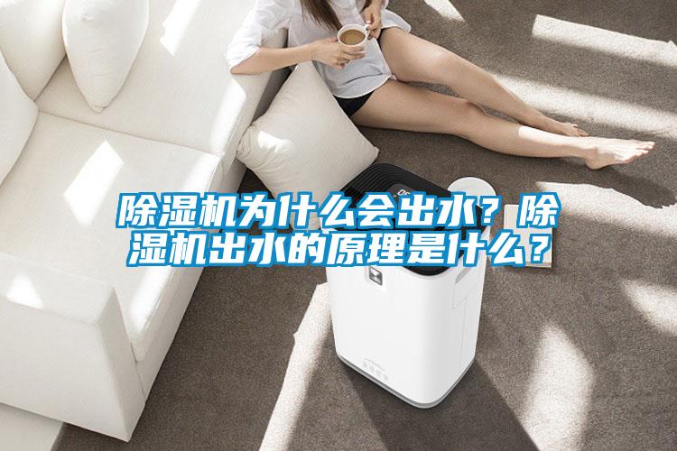 除濕機為什么會出水？除濕機出水的原理是什么？