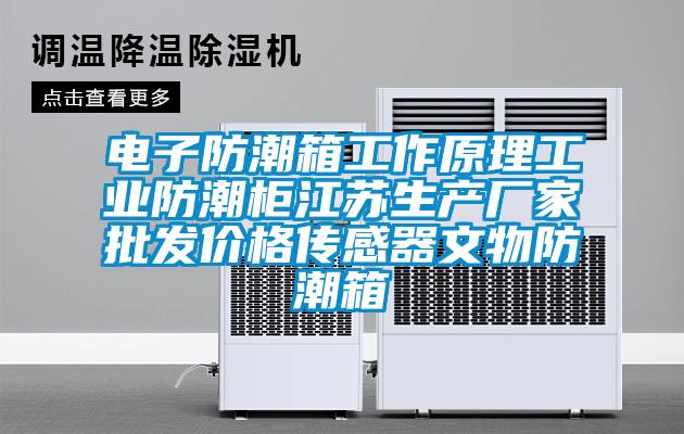 電子防潮箱工作原理工業防潮柜江蘇生產廠家批發價格傳感器文物防潮箱