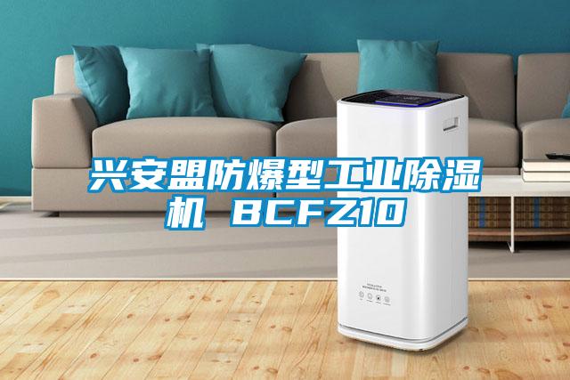 興安盟防爆型工業除濕機 BCFZ10