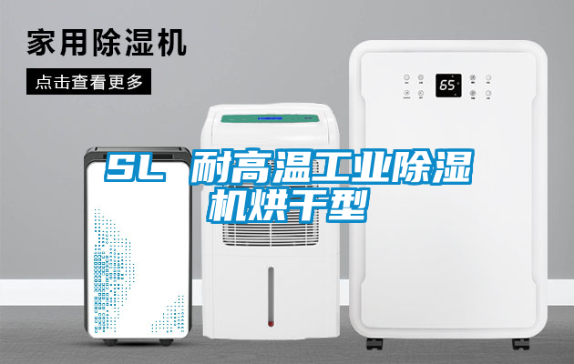 SL 耐高溫工業除濕機烘干型