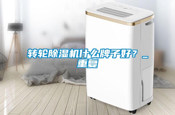 轉輪除濕機什么牌子好？_重復