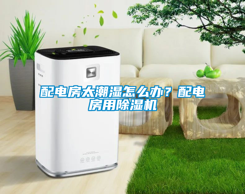 配電房太潮濕怎么辦？配電房用除濕機