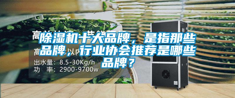 除濕機十大品牌，是指那些品牌，行業協會推薦是哪些品牌？