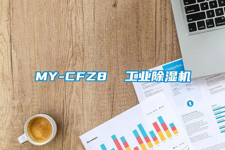 MY-CFZ8  工業除濕機