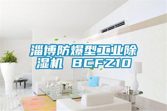 淄博防爆型工業除濕機 BCFZ10