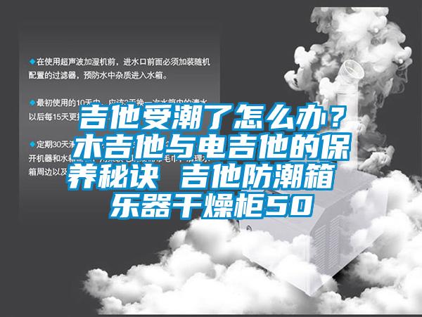 吉他受潮了怎么辦？木吉他與電吉他的保養秘訣 吉他防潮箱 樂器干燥柜50