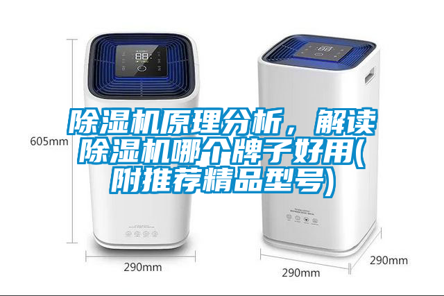 除濕機原理分析，解讀除濕機哪個牌子好用(附推薦精品型號)