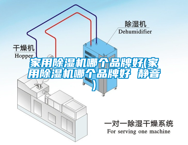 家用除濕機哪個品牌好(家用除濕機哪個品牌好 靜音)