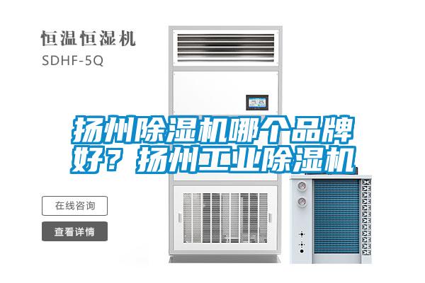 揚州除濕機哪個品牌好？揚州工業除濕機