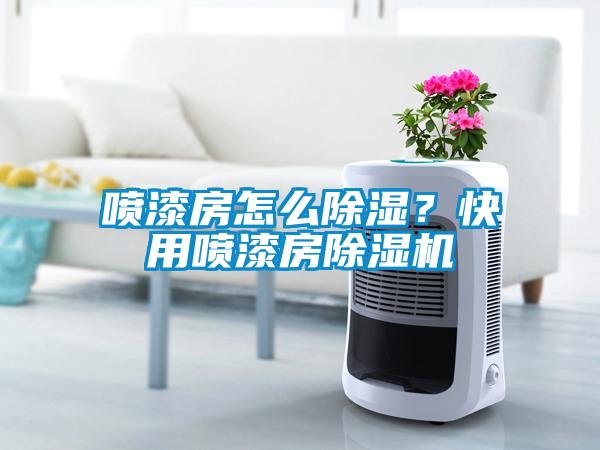 噴漆房怎么除濕？快用噴漆房除濕機