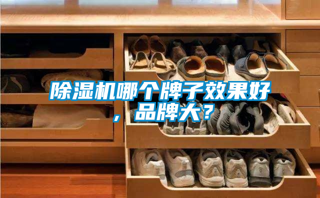 除濕機哪個牌子效果好，品牌大？