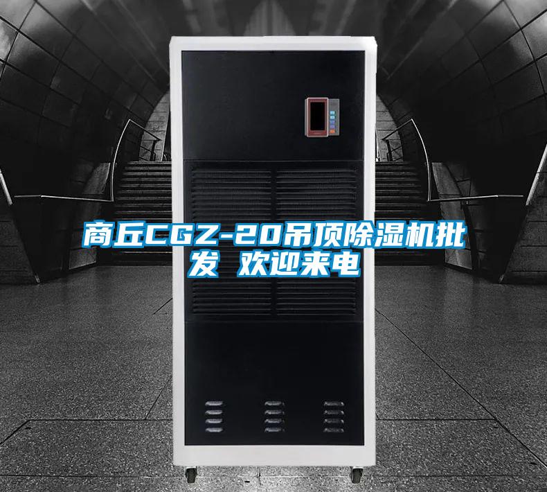 商丘CGZ-20吊頂除濕機批發 歡迎來電