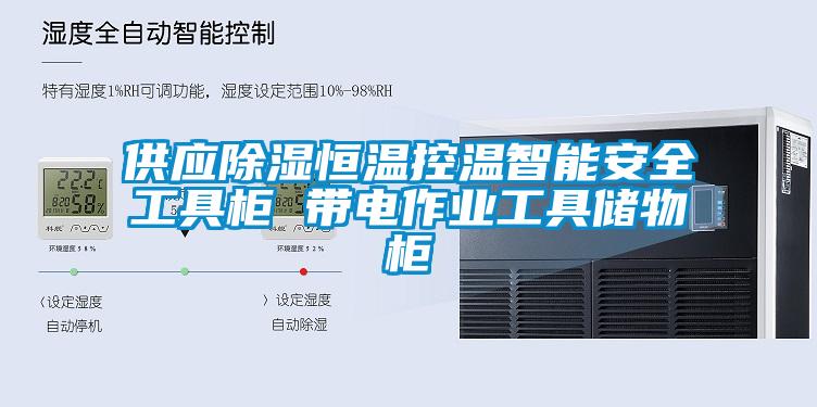 供應除濕恒溫控溫智能安全工具柜 帶電作業工具儲物柜