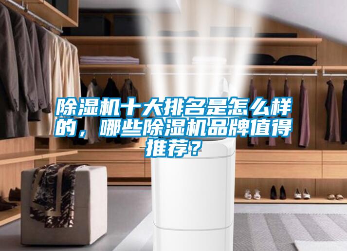 除濕機十大排名是怎么樣的，哪些除濕機品牌值得推薦？