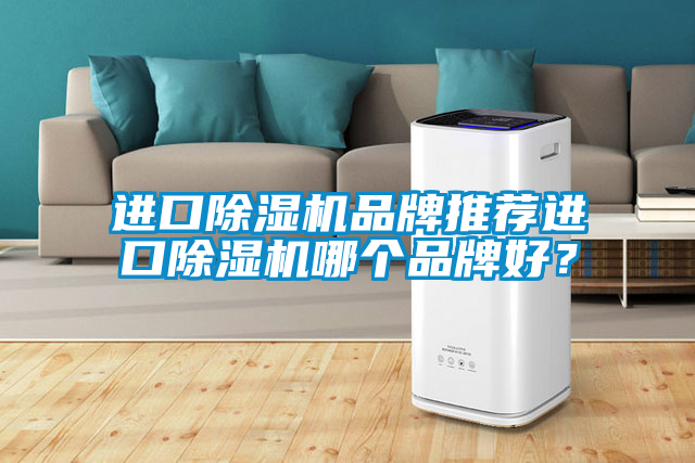 進口除濕機品牌推薦進口除濕機哪個品牌好？