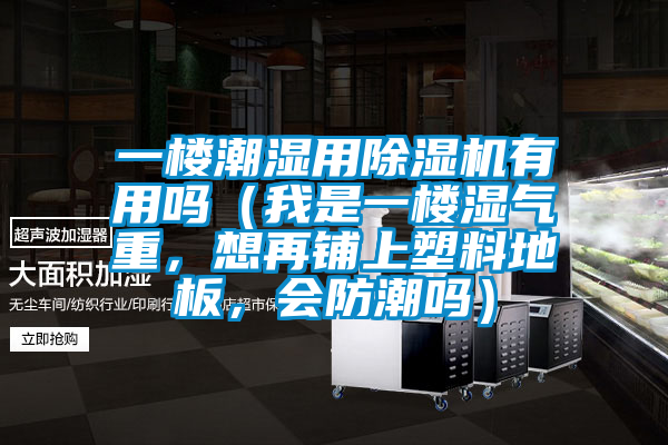 一樓潮濕用除濕機有用嗎（我是一樓濕氣重，想再鋪上塑料地板，會防潮嗎）