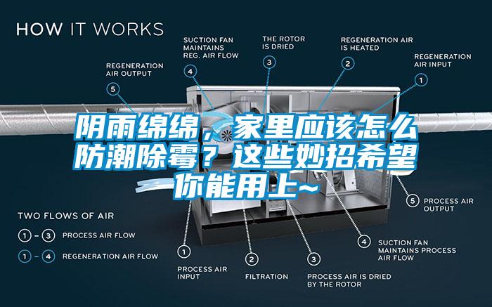 陰雨綿綿，家里應該怎么防潮除霉？這些妙招希望你能用上~