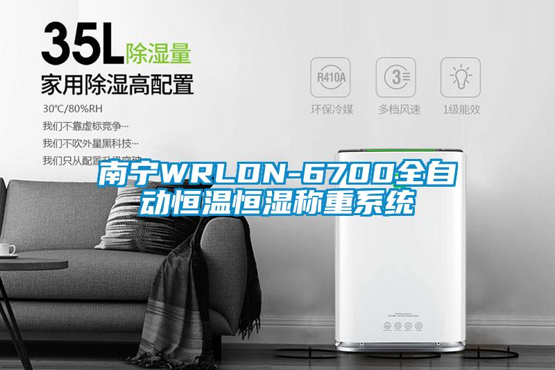 南寧WRLDN-6700全自動恒溫恒濕稱重系統