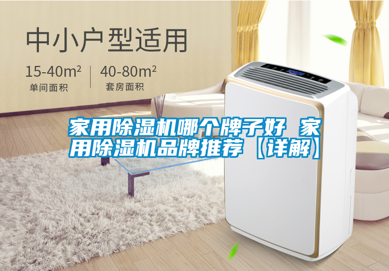 家用除濕機哪個牌子好 家用除濕機品牌推薦【詳解】