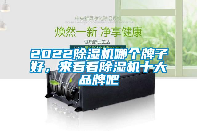 2022除濕機哪個牌子好，來看看除濕機十大品牌吧