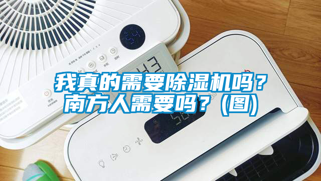 我真的需要除濕機嗎？南方人需要嗎？(圖)