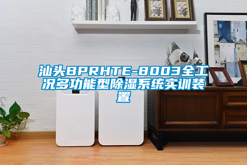 汕頭BPRHTE-8003全工況多功能型除濕系統實訓裝置