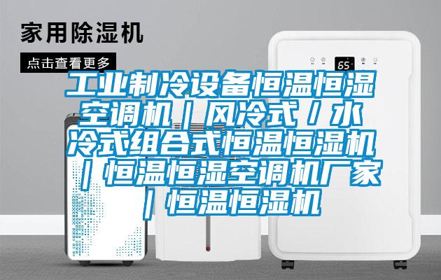 工業制冷設備恒溫恒濕空調機｜風冷式／水冷式組合式恒溫恒濕機｜恒溫恒濕空調機廠家｜恒溫恒濕機