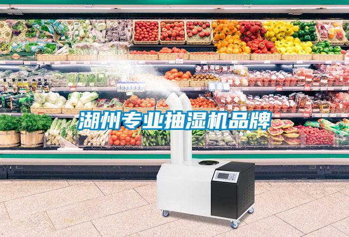 湖州專業抽濕機品牌