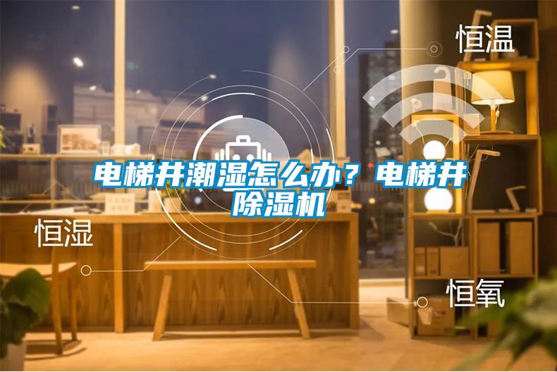 電梯井潮濕怎么辦？電梯井除濕機