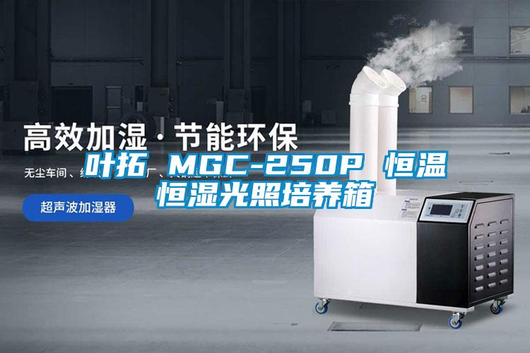 葉拓 MGC-250P 恒溫恒濕光照培養箱