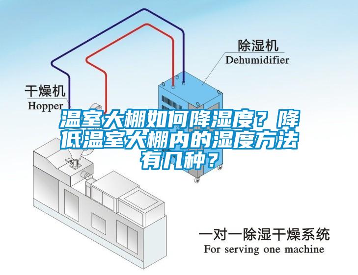 溫室大棚如何降濕度？降低溫室大棚內的濕度方法有幾種？