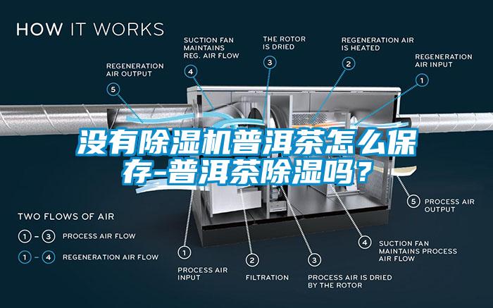 沒有除濕機普洱茶怎么保存-普洱茶除濕嗎？