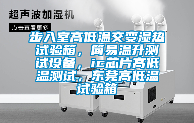 步入室高低溫交變濕熱試驗箱，簡易溫升測試設備，ic芯片高低溫測試，東莞高低溫試驗箱