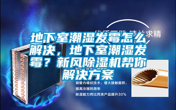 地下室潮濕發霉怎么解決，地下室潮濕發霉？新風除濕機幫你解決方案