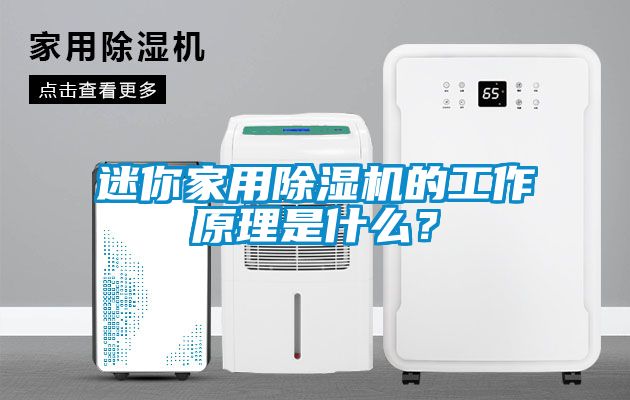 迷你家用除濕機的工作原理是什么？