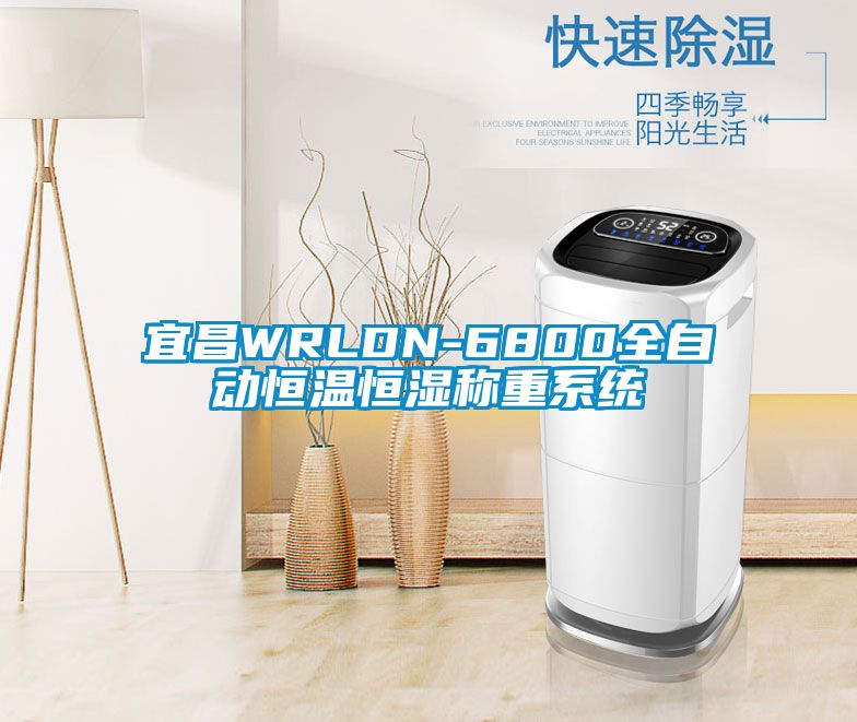 宜昌WRLDN-6800全自動恒溫恒濕稱重系統