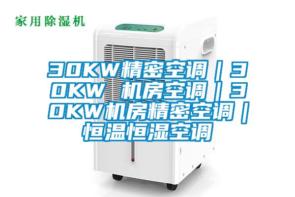 30KW精密空調｜30KW 機房空調｜30KW機房精密空調｜恒溫恒濕空調