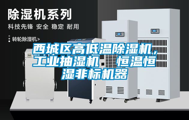 西城區高低溫除濕機，工業抽濕機  恒溫恒濕非標機器