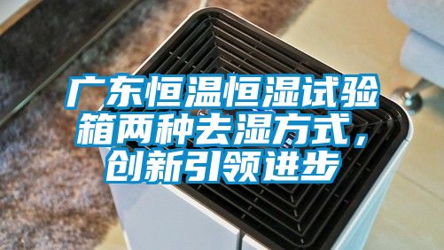 廣東恒溫恒濕試驗箱兩種去濕方式，創新引領進步